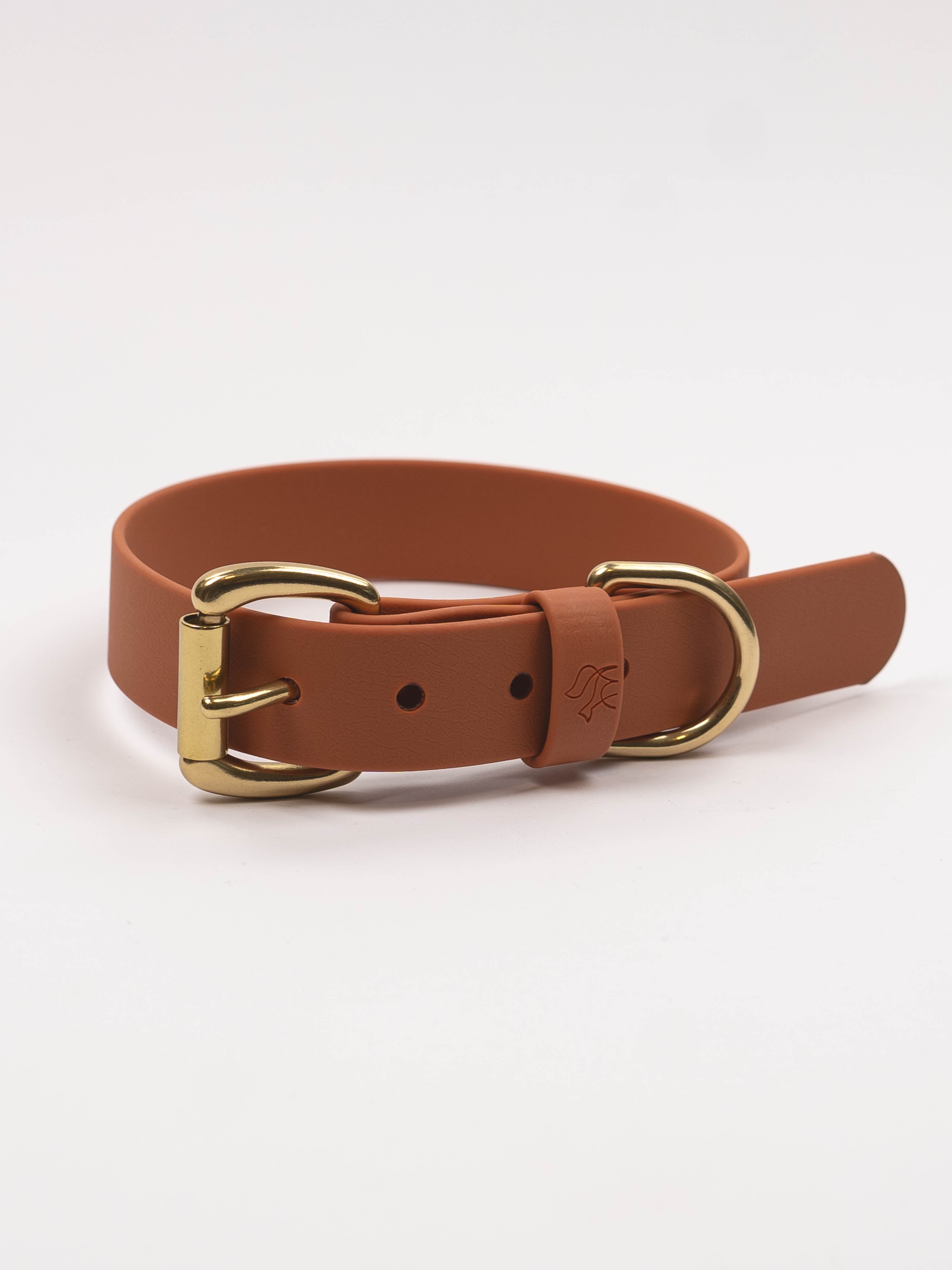 Everyday Dog Collar