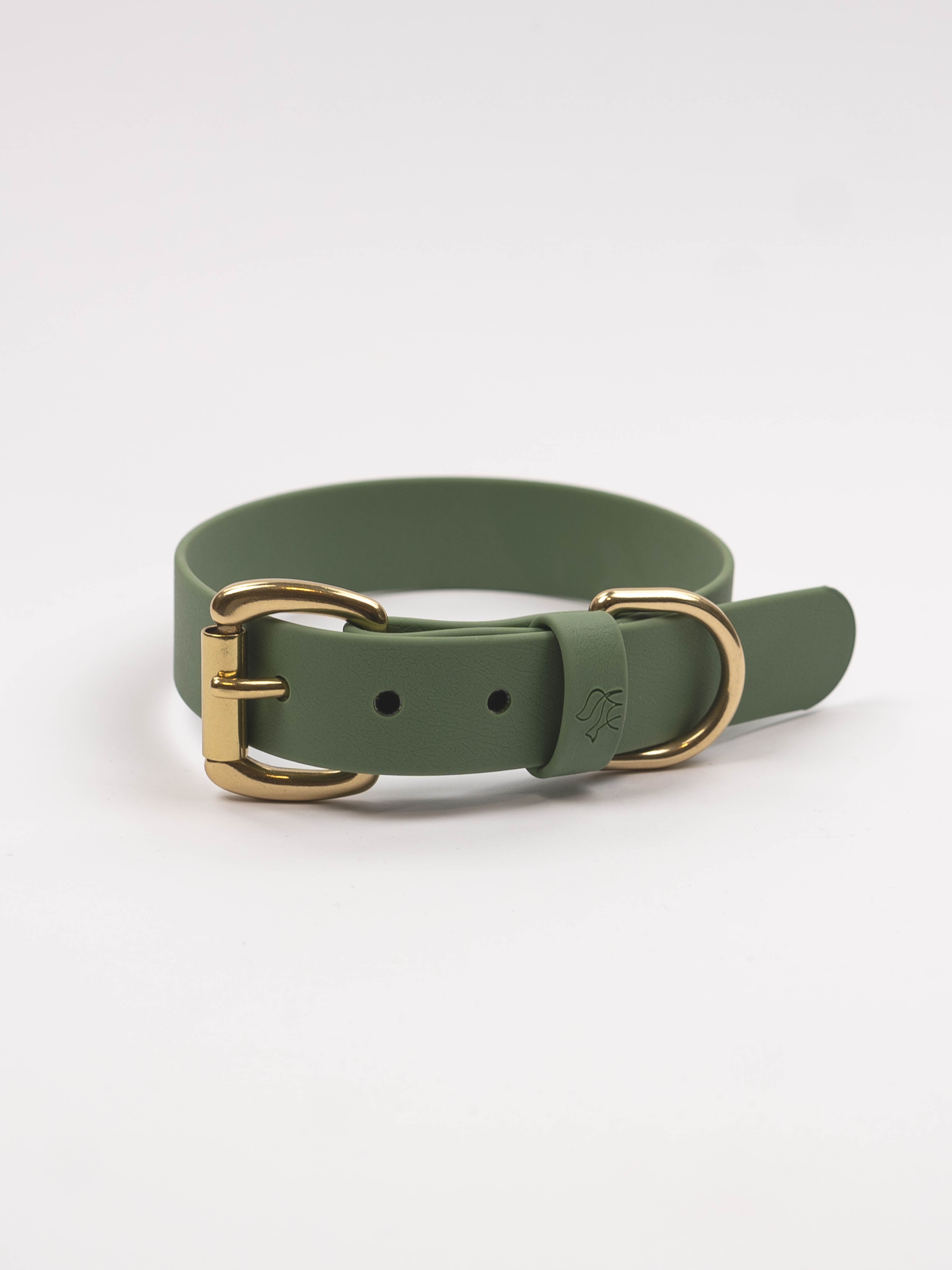 Everyday Dog Collar