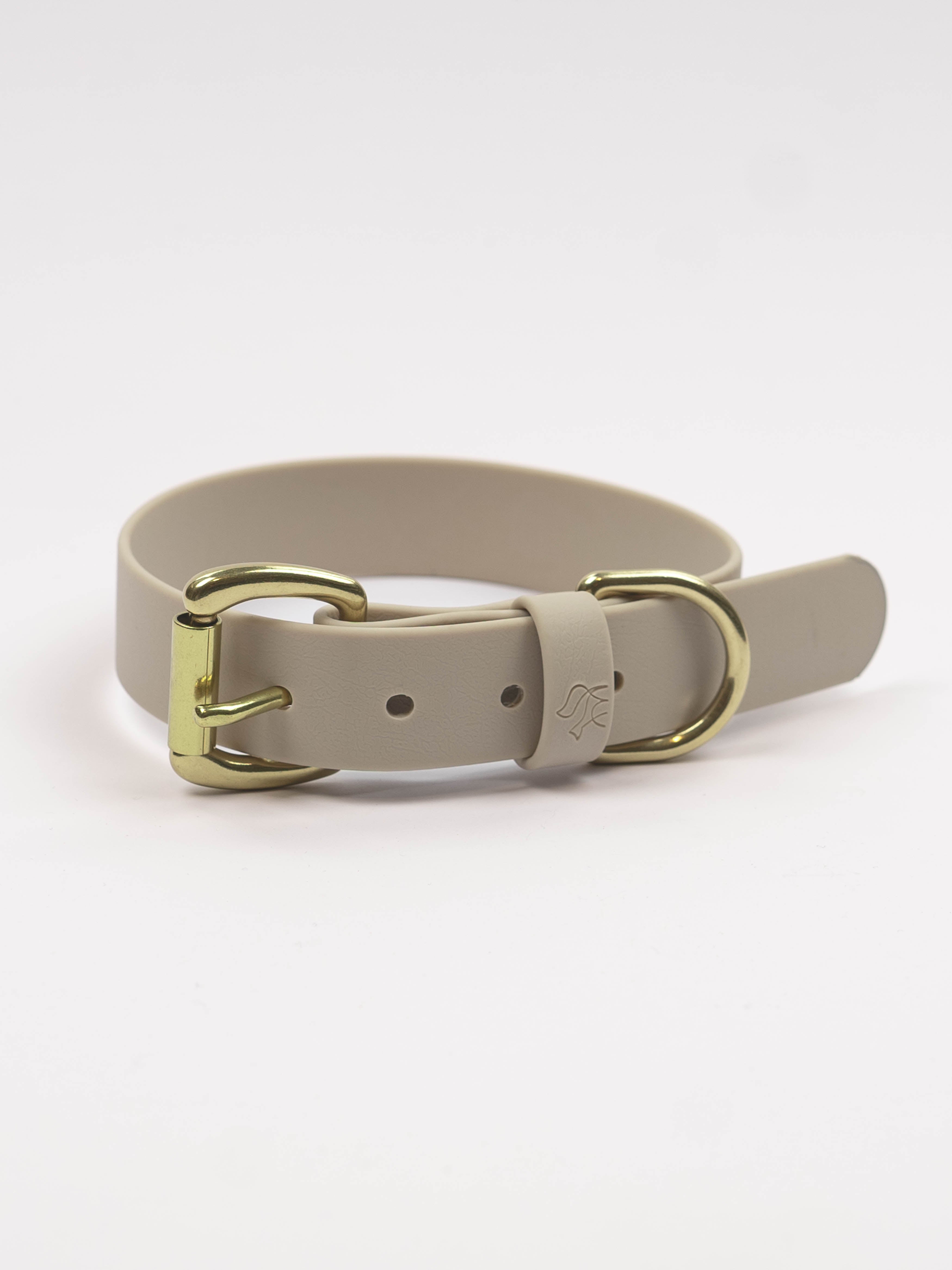 Everyday Dog Collar