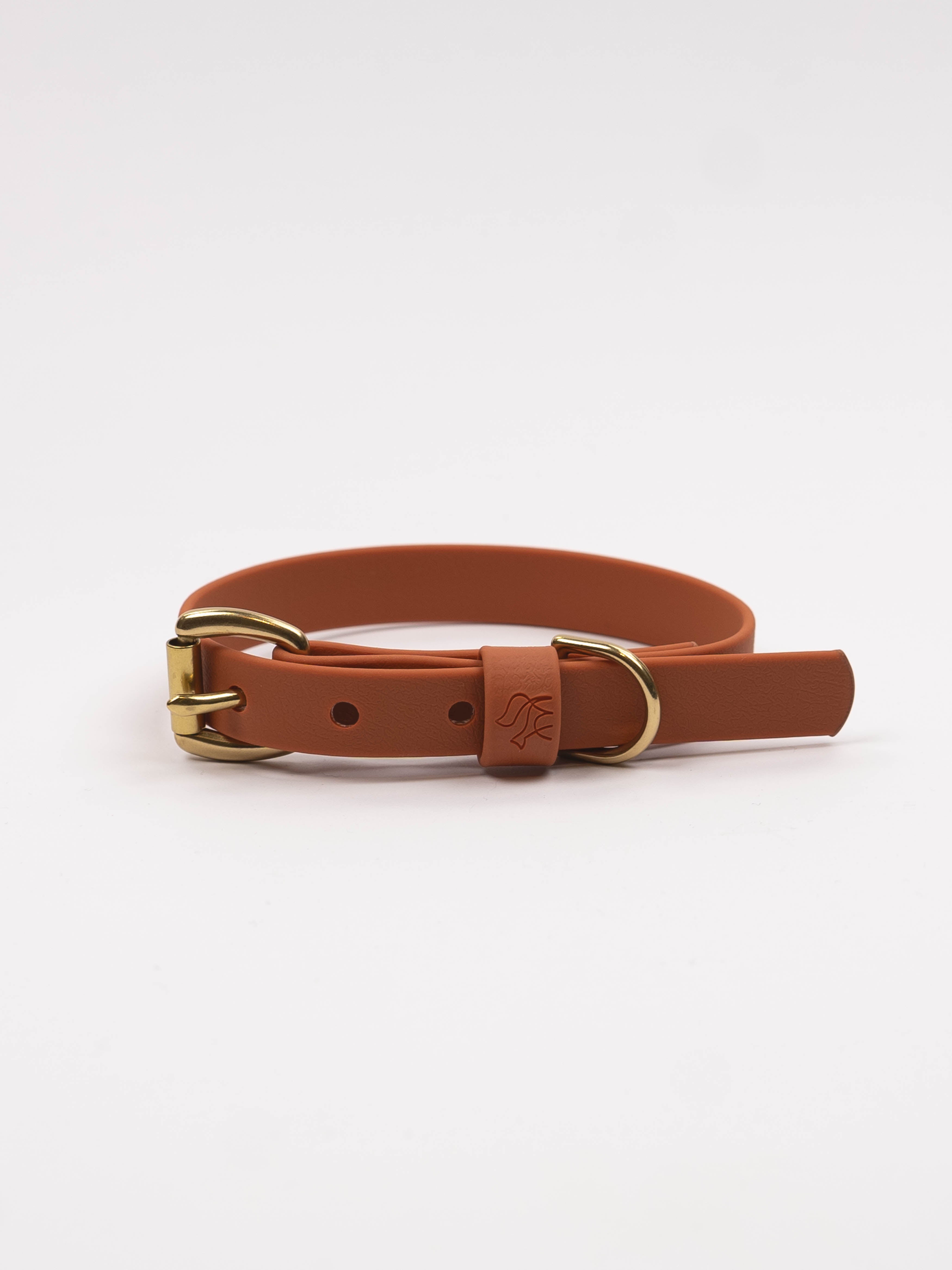 Everyday Dog Collar