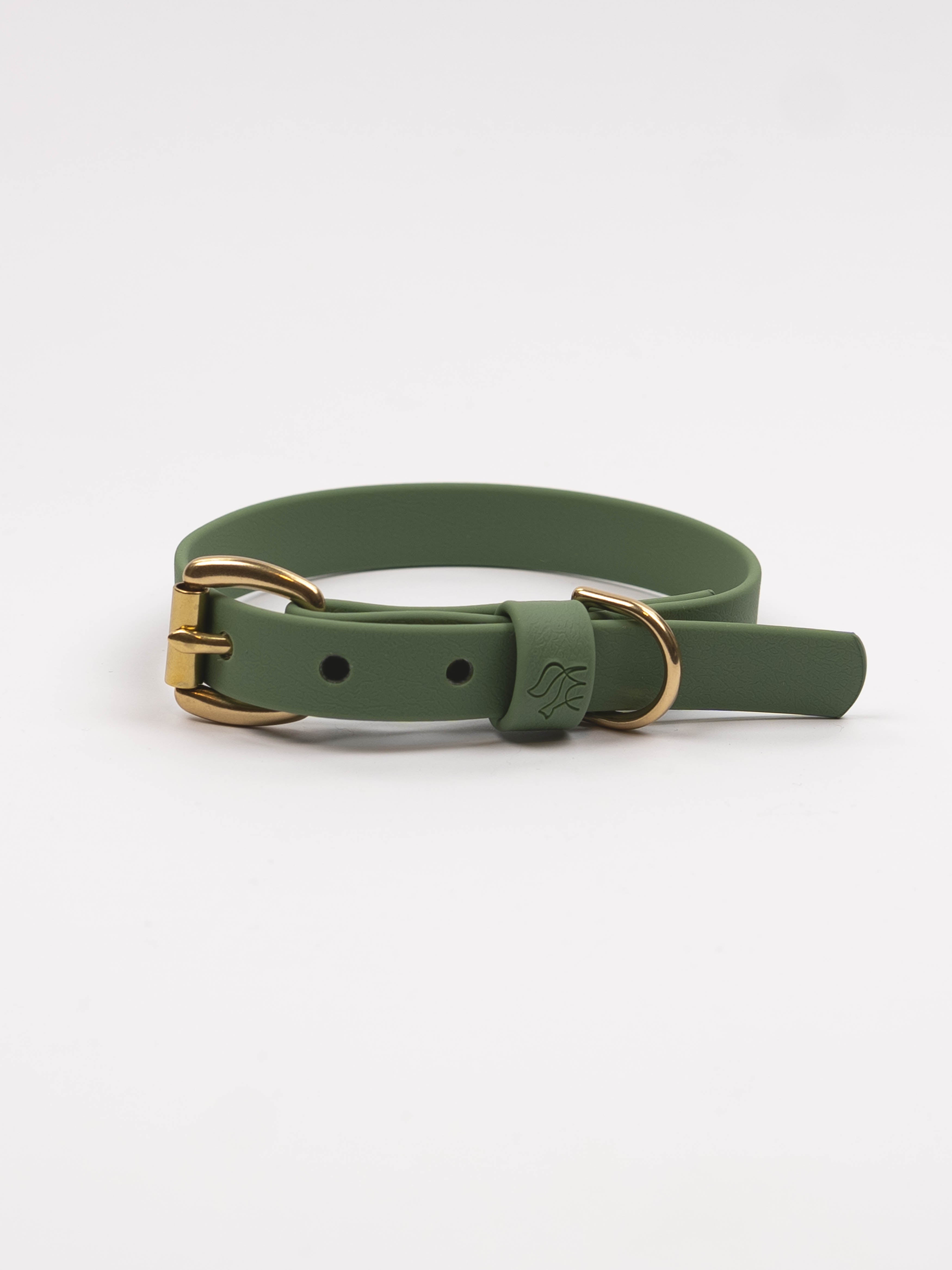 Everyday Dog Collar