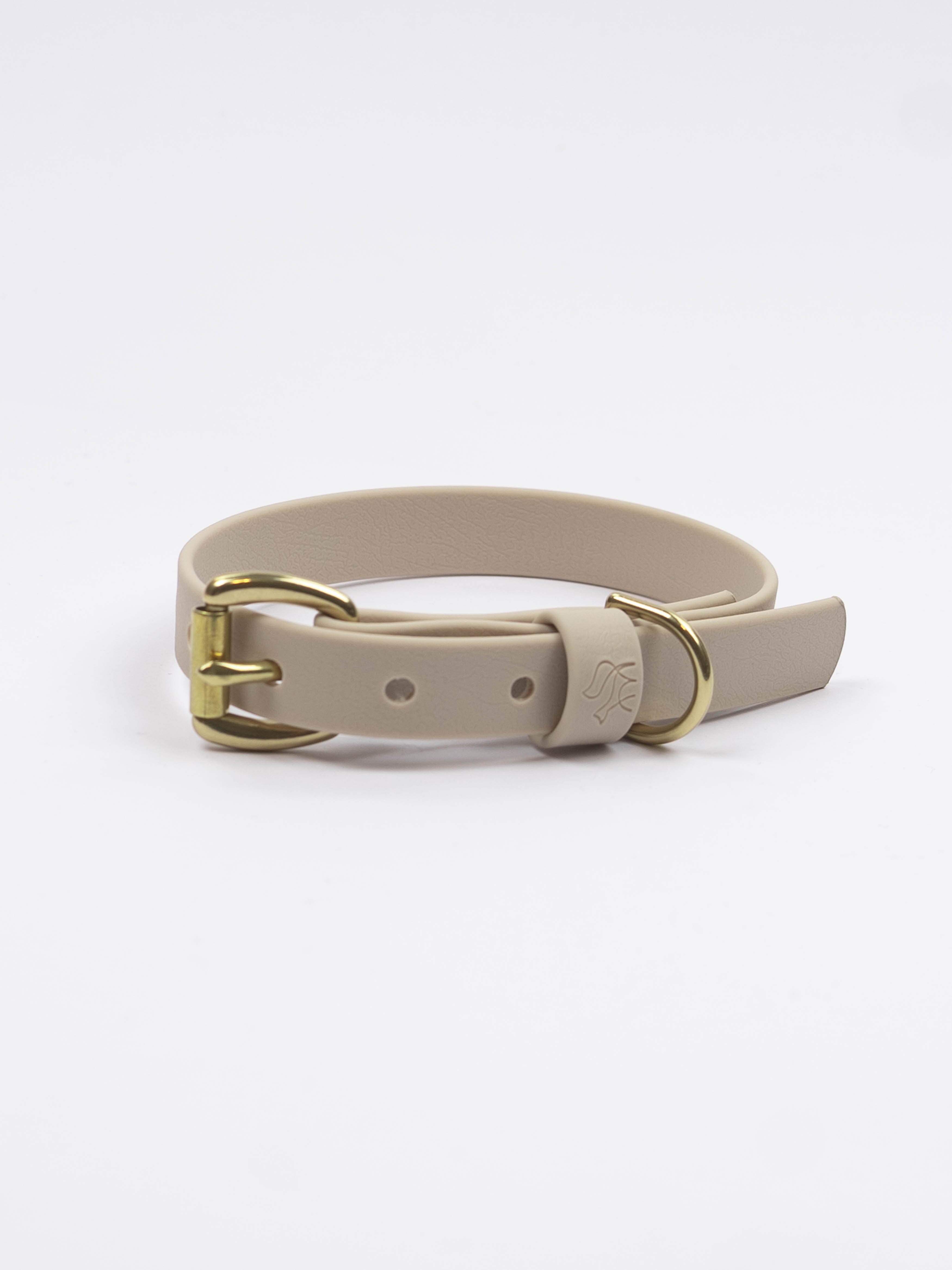 Everyday Dog Collar